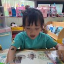사계절-행운목에 어떤 잎이 자랄까요? / 놀이터^^ 이미지