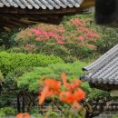 충주박씨열려문 이미지