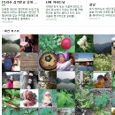 은혜네집 이미지