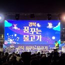 꿈꾸는 물고기 | 우이천 등 축제 강북 꿈꾸는 물고기 행사 LED 영상 렌탈 후기