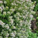 봉우농장 이미지