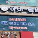 하이멍멍 네이버블로그