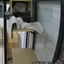 호텔이냥 이미지