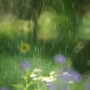 별빛쉼표 이미지