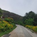 원주굽이길 원3코스 백운산자연휴양림길 이미지