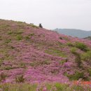 진달래약수터 이미지