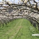 엑스포펜션민박 이미지