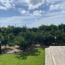 스테이 소그락 이미지