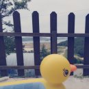 반딧불민박 이미지