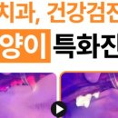 코아동물병원 이미지