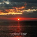 행복이 가득한 터 Daum카페