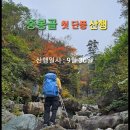 🌈지리 첫단풍 중봉골 이미지