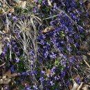 금광프라자약국 이미지