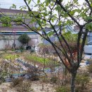 서편네민박 이미지