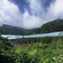 청구농장 이미지