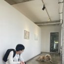 전주 카피랜드 네이버블로그