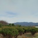 큰소나무농장 이미지