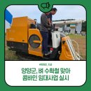 영덕군농업기술센터 농기계임대사업소 북부분소 | 양양군, 벼 수확철 맞아 콤바인 임대사업 실시