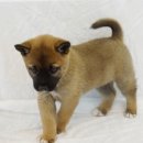 말랑말랑 이미지