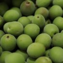 서가네알농장 이미지