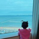 포항제일약국 | 포항 영일대 해수욕장 숙소 라한호텔 온돌룸 아기랑 오션뷰 호텔 조식 내돈내산 후기