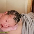 둥지조산원 | [둔위출산 후기]둥지조산원 둔위(역아) 자연주의출산 후기