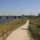 한강 산책 이미지