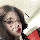 대지이발 네이버블로그