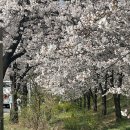 테크노순환로1길 이미지