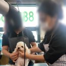 따뜻한마음평생교육원