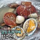 캠핑조개구이 추천 탑수산 모둠조개 해물파스타 만들어 먹어요