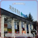 못난이꽈배기괴산하행점
