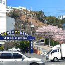 덕도주유소 | 제가.. 도로에서 운전한다고요..? (남영자동차운전전문학원 후기, 장단점, 학원 수강료, 도로주행 꿀팁)