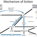 21세기미 이미지