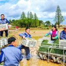 원화농장 이미지