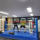 정성호 복싱 이미지