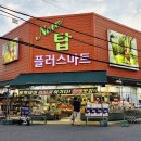해주미트