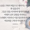 31 이미지