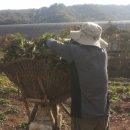 유성2농장 이미지