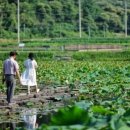 상리공원 이미지