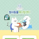 청사펫살롱 이미지