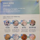 귀엽꾸멍 이미지