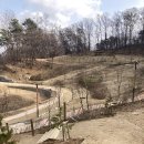 남산공원길2 이미지