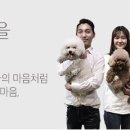 펫맘 이미지