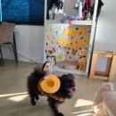 카페멍스 이미지