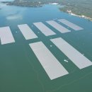 입장 수상태양광발전소 이미지