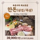 캠프닉아일랜드