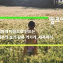 [띵크어스 #18] 엄마의 마음으로 만드는 제주의 보석 같은 먹거리, 제주마미 이미지