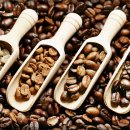 바리스타자격증 이미지