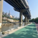 와이석정웰마트 | [임신기록] 38주-39주 4일